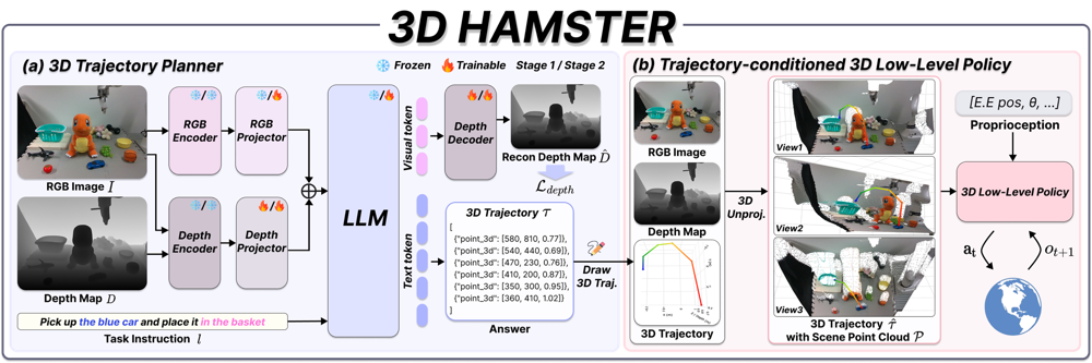 Figure for 3D HAMSTER